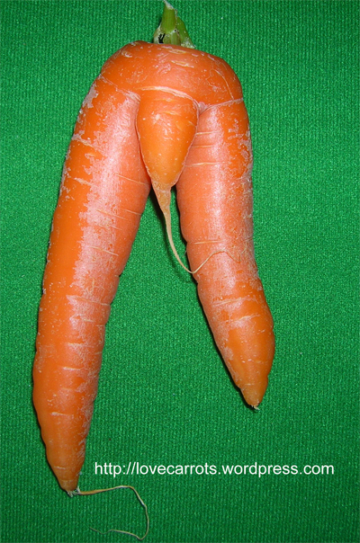 http://lovecarrots.files.wordpress.com/2007/10/ronnie_hoggan_carrot.jpg