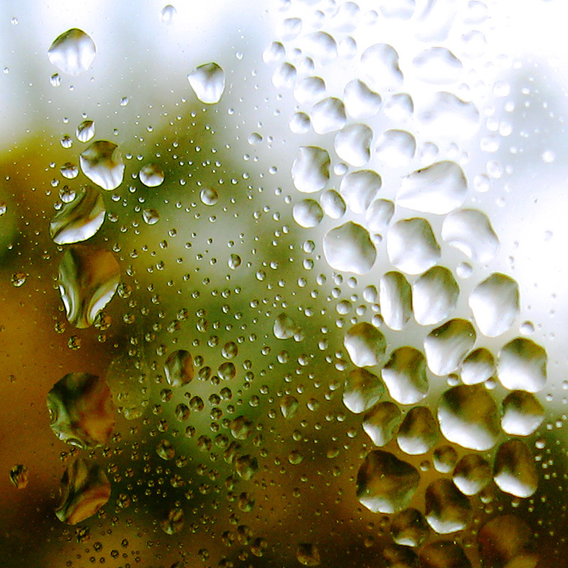 http://www.rna.ca/photography/window_rain/olive_droplets_window_b.jpg