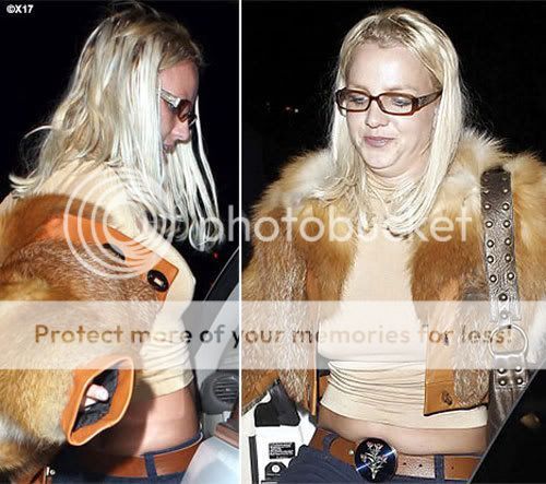 http://i131.photobucket.com/albums/p316/celebwarship/Celeb6/Celeb7/Celeb8/britney-fur.jpg