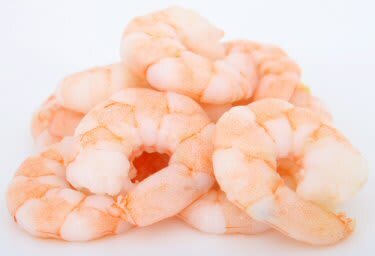 http://www.bigoven.com/uploads/Shrimp.jpg