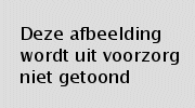 http://www.dbnl.org/tekst/vrie011ever01_01/vrie011ever01ill08.gif