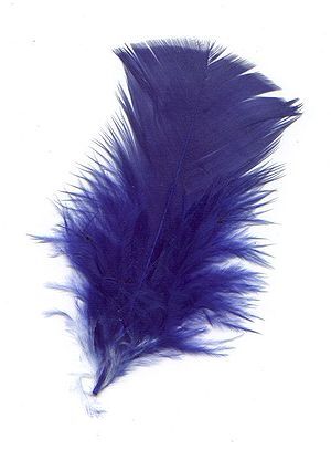 http://upload.wikimedia.org/wikipedia/commons/thumb/c/c6/Pluma-azul.jpg/300px-Pluma-azul.jpg