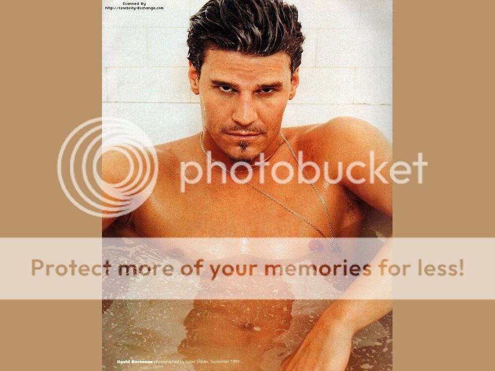 http://i50.photobucket.com/albums/f321/Annunznic/male-celeb-david-boreanaz-001.jpg