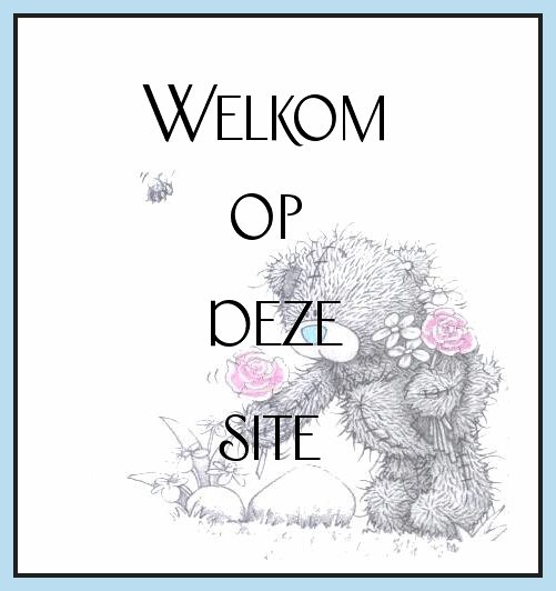 http://politiek.files.wordpress.com/2007/04/welkom.gif