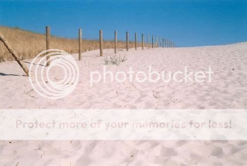 http://img.photobucket.com/albums/v415/Superik/Strand-Sporen.jpg