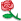 :rose: